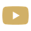 Youtube icon